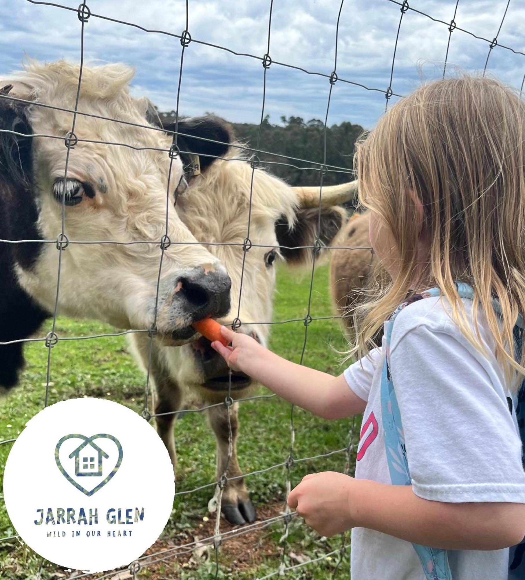 Jarrah Glen Cabins Nannup Esterno foto