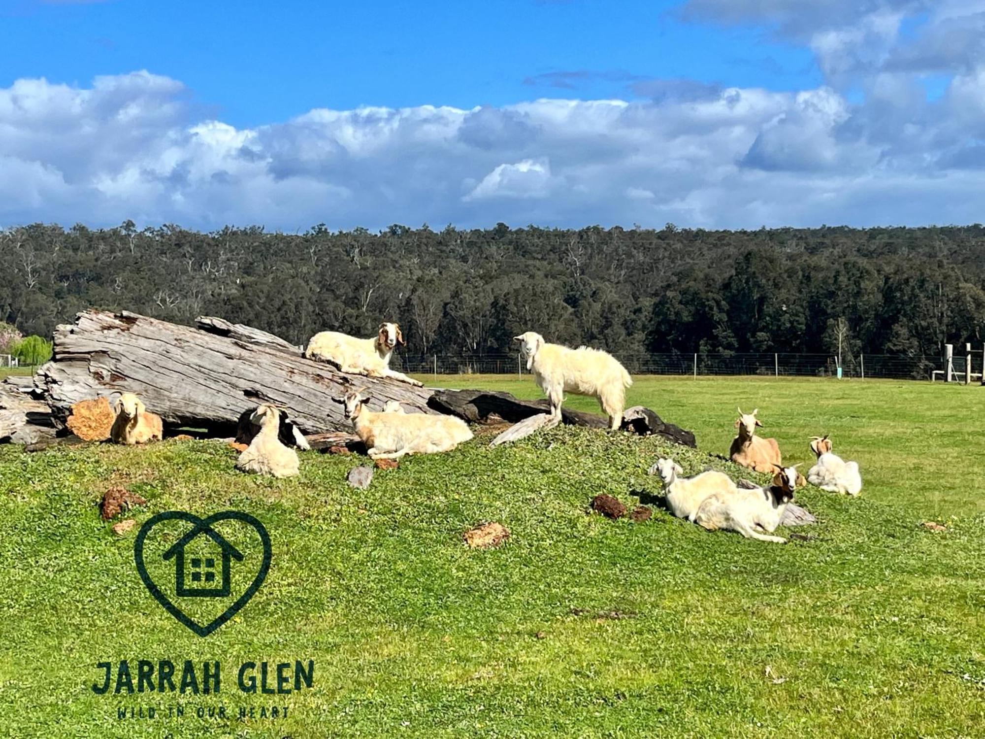 Jarrah Glen Cabins Nannup Esterno foto