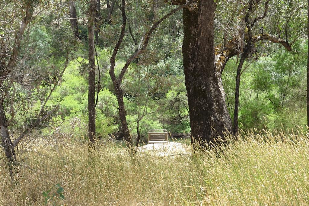 Jarrah Glen Cabins Nannup Camera foto
