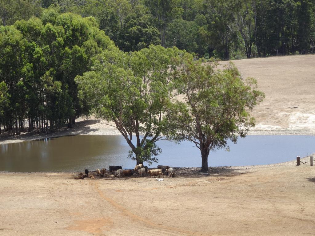 Jarrah Glen Cabins Nannup Esterno foto