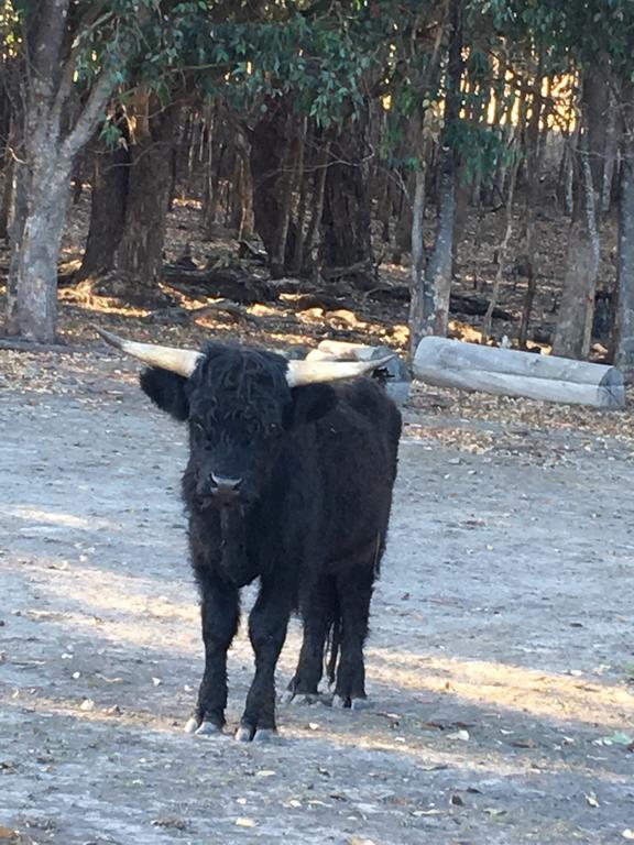 Jarrah Glen Cabins Nannup Esterno foto